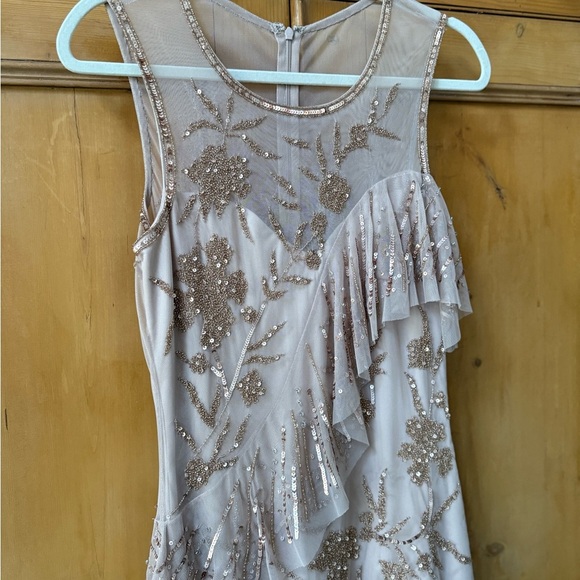 Parker Black label Florence beaded dress in Rosaline champagne nude color - Picture 4 of 10